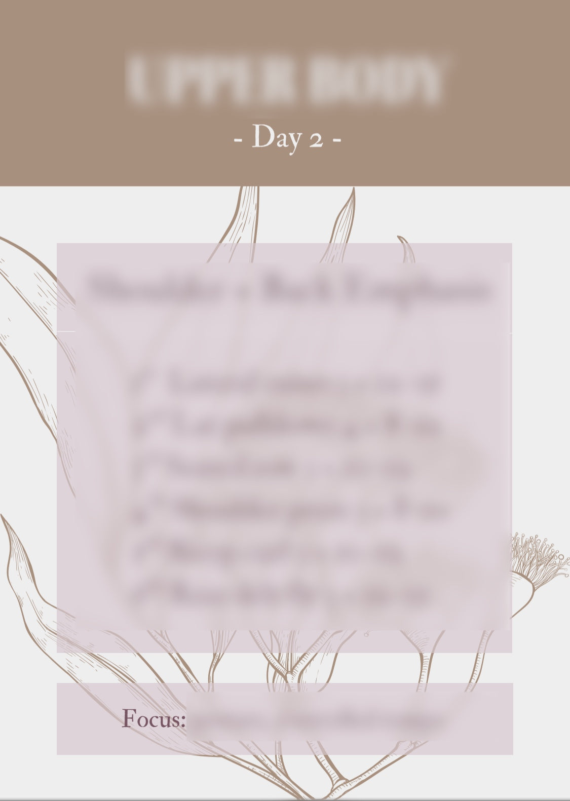 Hourglass Bulk - Cycle Synced Program